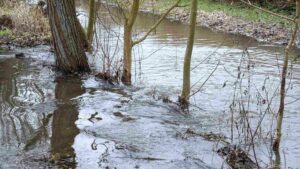 Wasser der umliegenden Wiese fließt in die Wabe (Hochwasser Januar 2024)