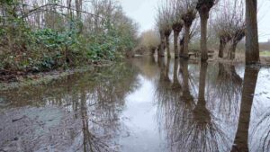 überfluteter Walkholzweg (Hochwasser Januar 2024)