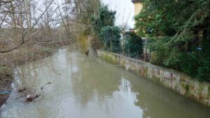 Das Wasser der Mittelriede an der Ebertalle reicht fast in die Häuser (Hochwasser Januar 2024)