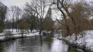 Oker im Bürgerpark während des Hochwassers im Januar 2024