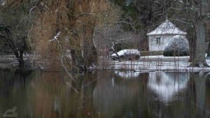 Südteich im Winter