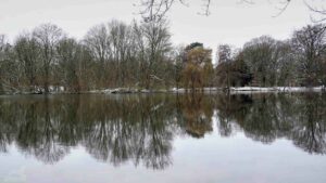 Südteich im Winter