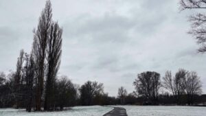 Winter im Richmond-Park