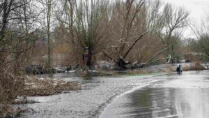 überschwemmter Weg am Südsee (Januar 2024)