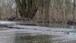 überschwemmter Weg am Südsee (Januar 2024)