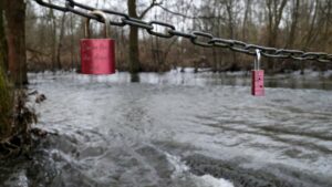 Überschwemmtes Waldgebiet am Steg am Südsee