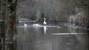 überschwemmter Weg am Südsee (Januar 2024)