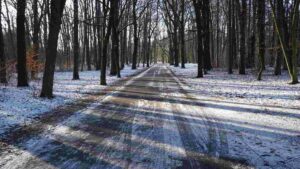Weg im Prinz-Albrecht-Park