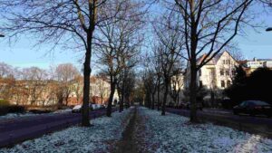 Jasperallee im Winter 2024