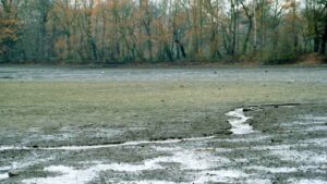 abgelassener Kreuzteich im November 2001 (Riddagshäuser Teiche)