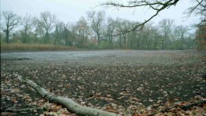 abgelassener Kreuzteich im November 2001 (Riddagshäuser Teiche)