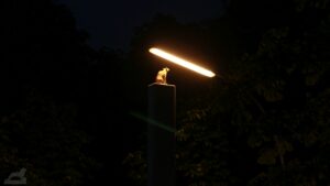 Lichtparcours 2016 - "Solarkatze"