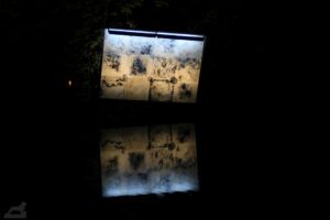 Lichtparcours 2020 -"billboard"