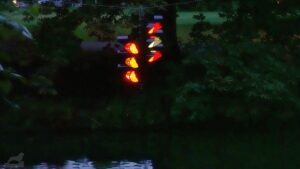 Lichtparcours 2024 - Swarm