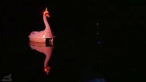 Lichtparcours 2024 - Slow Swan Social Club