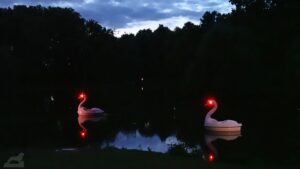Lichtparcours 2024 - Slow Swan Social Club