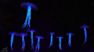 Lichtparcours 2024 - West auf Nordwest