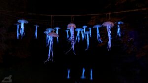 Lichtparcours 2024 - West auf Nordwest