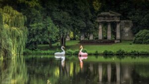Lichtparcours 2024 - Swan Social Club
