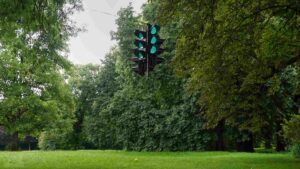 Lichtparcours 2024 - Swarm