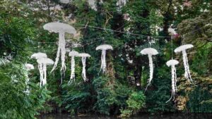 Lichtparcours 2024 - West auf Nordwest