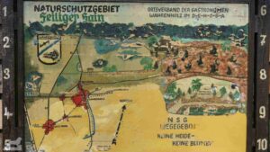 Gifhorn - Wahrendorf ♦ Heiliger Hain