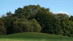 Rest des 1943 errichteten und mit Knöterich überwucherten Beobachtungsbunkers auf dem Nußberg