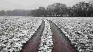 Schneegestöber im Franzschen Feld