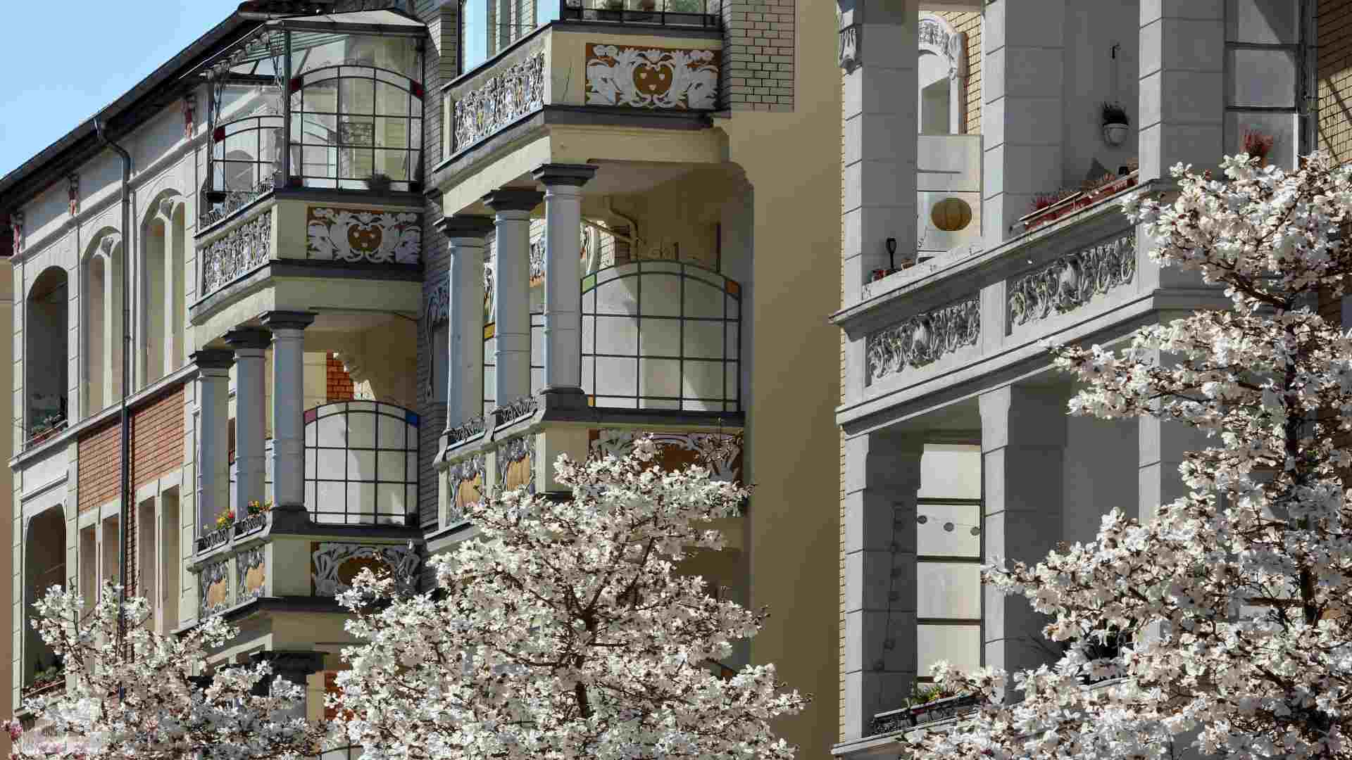 blühende Magniolien in der Roonstraße