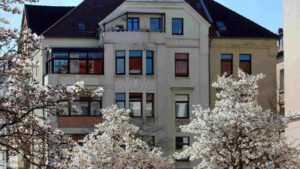 Blühende Magniolien vor Haus am Hagenring