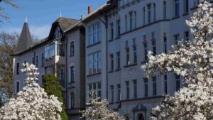 blühende Magniolien in der Roonstraße