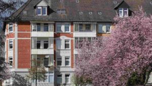 Blühende Zierkirsche am Andreeplatz