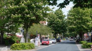 Kastanienallee