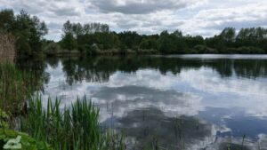 Wolfsburg ♦ Allersee