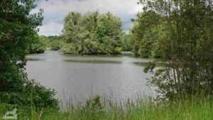 Wolfsburg • Detmeroder Teich