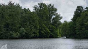 Wolfsburg • Detmeroder Teich