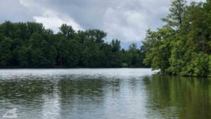 Wolfsburg • Detmeroder Teich