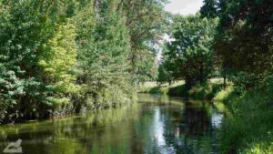 Oker bei Watenbüttel