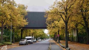 herbstliche gefärbte Bäume in der Gunterstraße - Straßenüberführung von VW