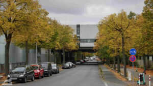 herbstliche gefärbte Bäume in der Gunterstraße - Straßenüberführung von VW