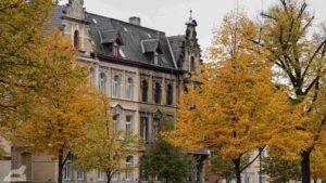 Herbstlich gefärbte Bäume in der Museumstraße
