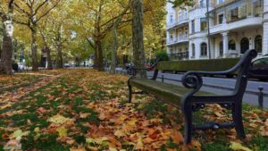 Sitzbank in der Jasperallee