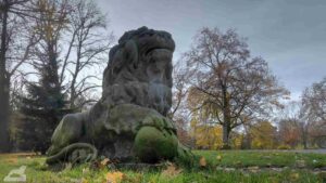 Löwe im Inselwallpark