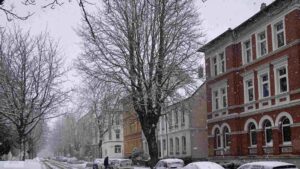 Winterliche Kastanienallee