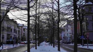 Jasperallee im Winter