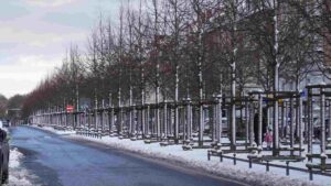 Jasperallee im Winter