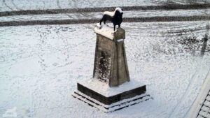 Blick vom Rathausturm auf den Burglöwen