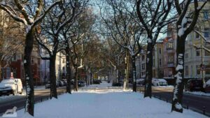 Jasperallee im Winter