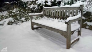 Zugeschneite Bank im Botanischen Garten