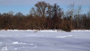 Riddagshäuser Teiche - Kreuzteich